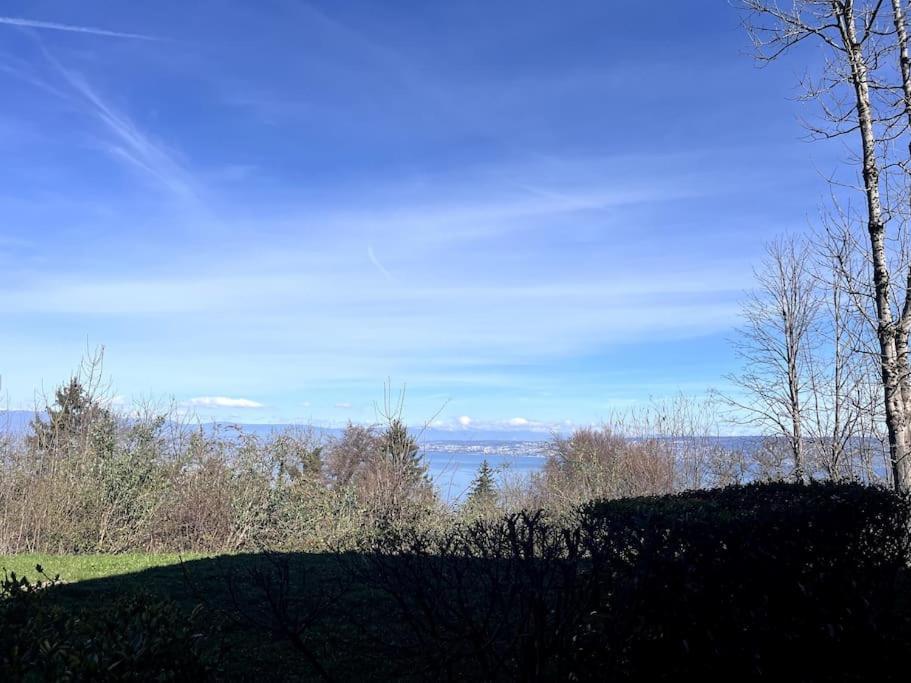 Lugrin Proche Du Lac Et Montagne Buitenkant foto