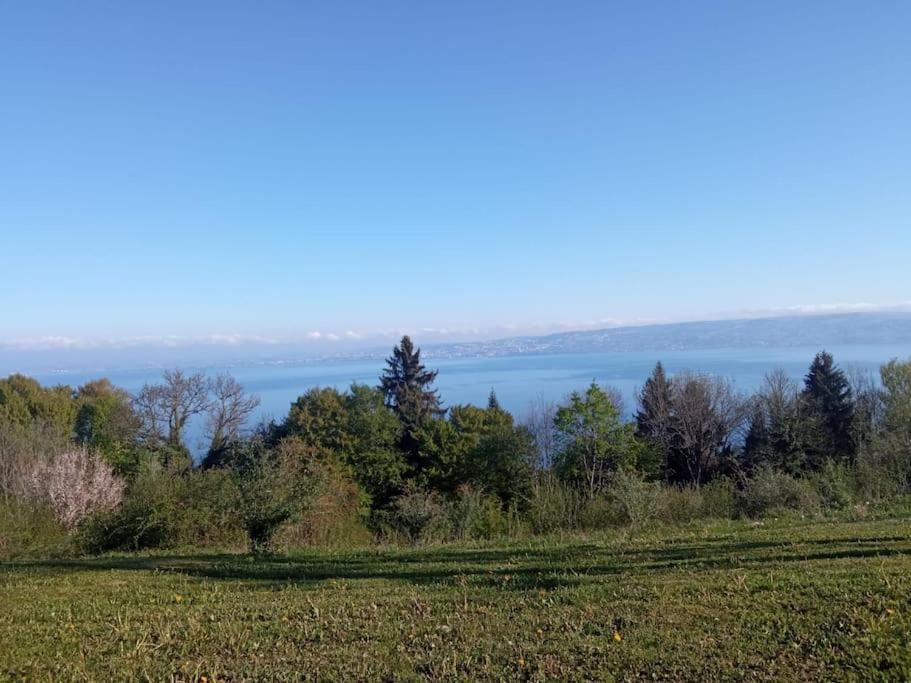 Lugrin Proche Du Lac Et Montagne Buitenkant foto