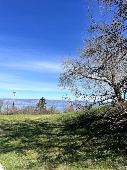Lugrin Proche Du Lac Et Montagne Buitenkant foto